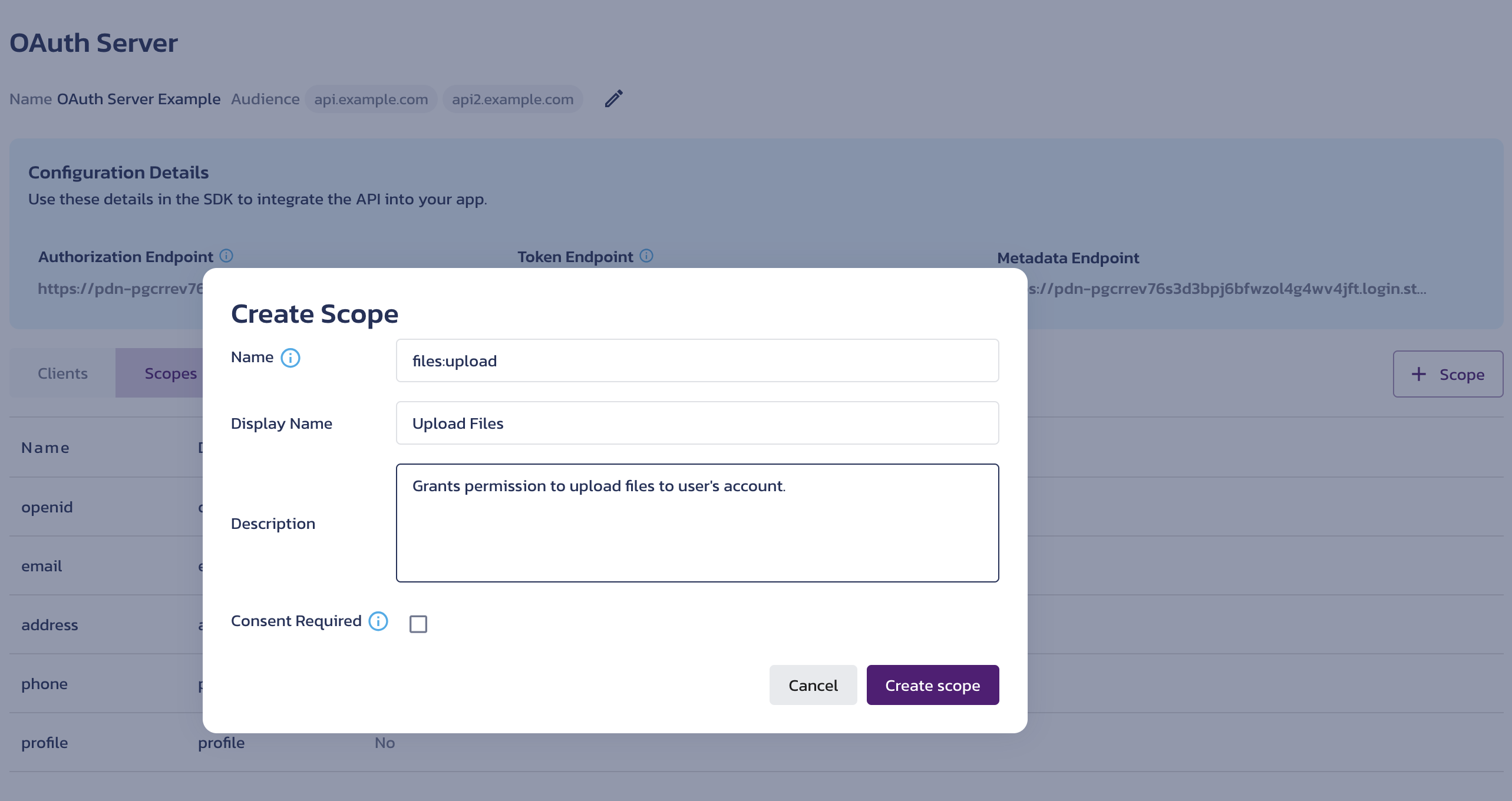 Create custom scope the AuthN OAuth Server settings page in the Pangea User Console