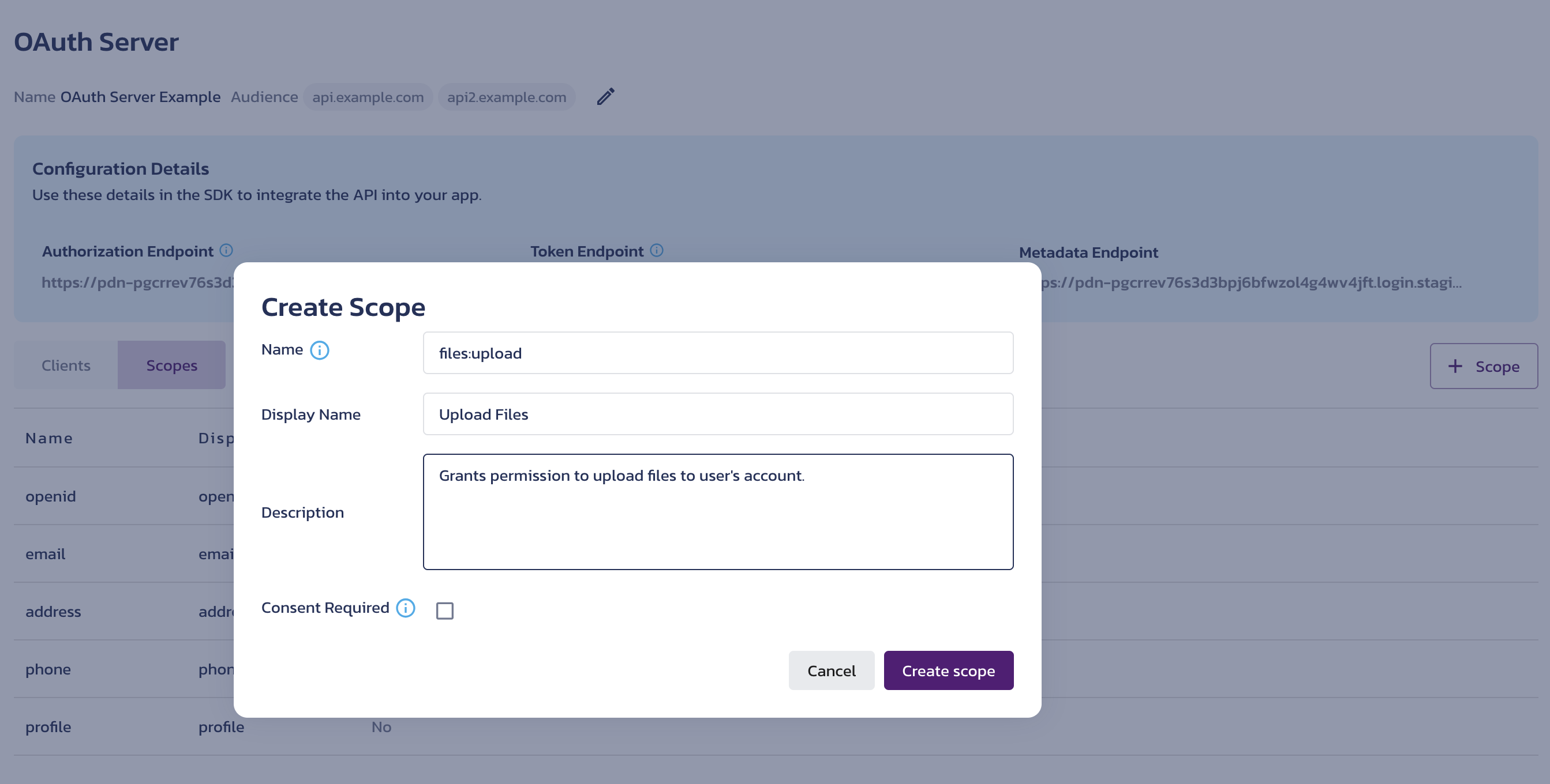 Scope Details on the AuthN OAuth Server settings page in the Pangea User Console